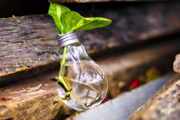 Il riciclo creativo dei materiali presenti in casa