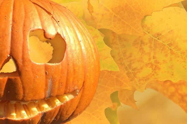 Come fare le zucche di Halloween? Idee per festeggiare alla grande