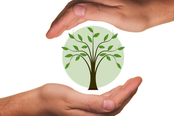 Quali sono gli assorbenti ecologici?